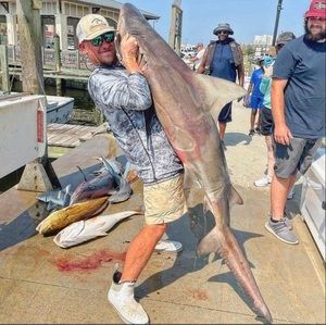 Meet your Posher, Hunter